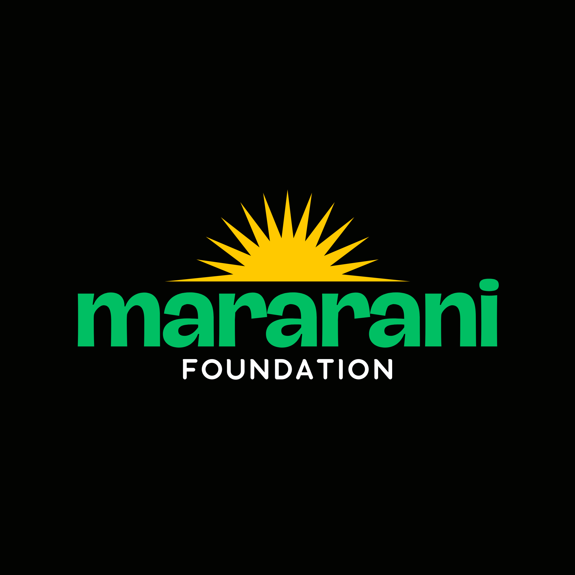 Strategic planning sessions to map out the foundation's immediate initiatives