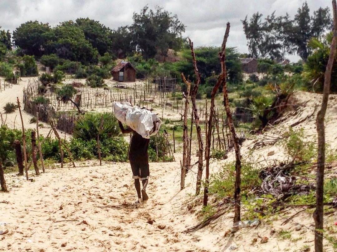 Environmental Action